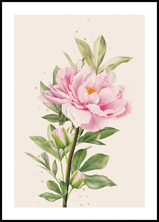 Blooming Peony Plakat