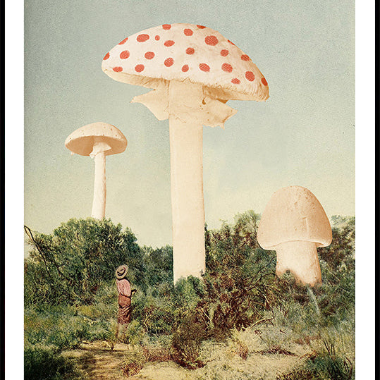 The Finest Giant Mushroom Plakat