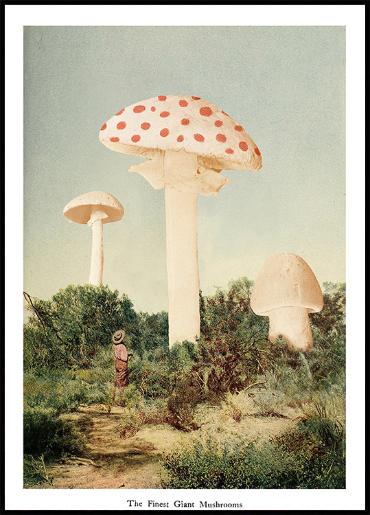 The Finest Giant Mushroom Plakat