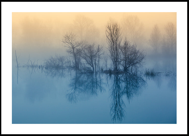 Morning reflection