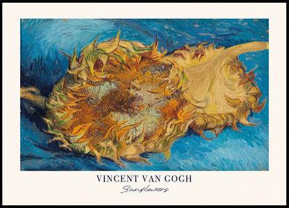 Sunflower by Van Gogh plakat