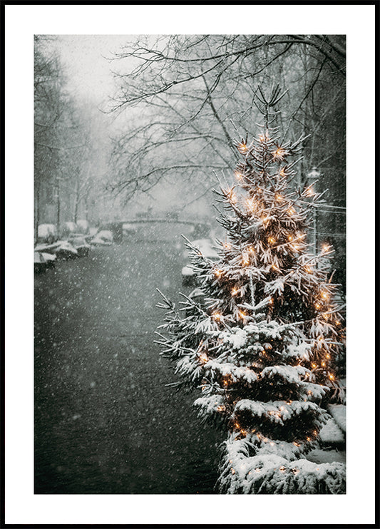 Christmas Tree by Snowy Canal Plakat