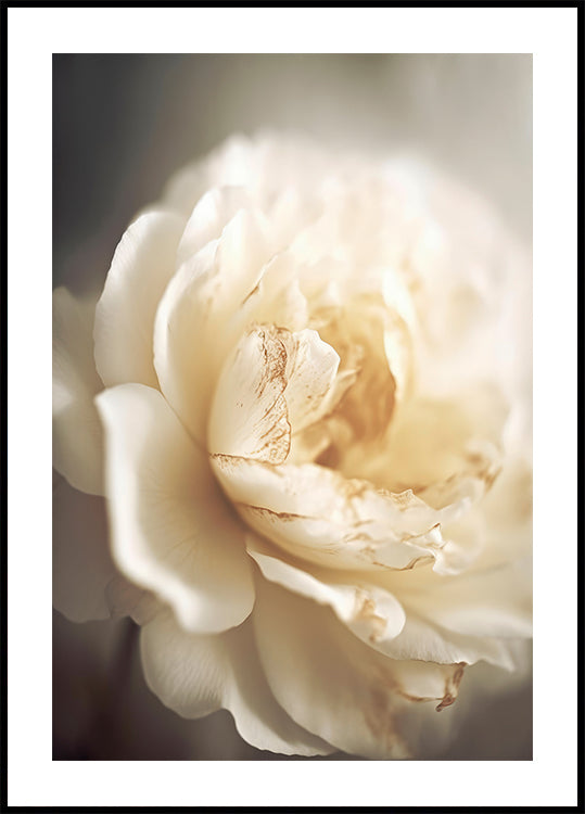 Ethereal Bloom