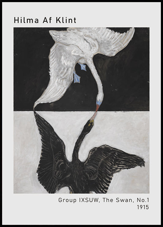 The Swan By Hilma Af Klint