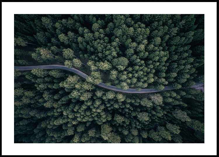 From above Plakat