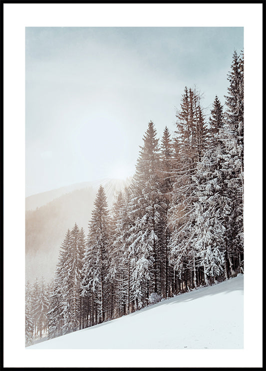 Snow Covered Trees Plakat