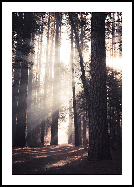 Yosemite Valley Plakat