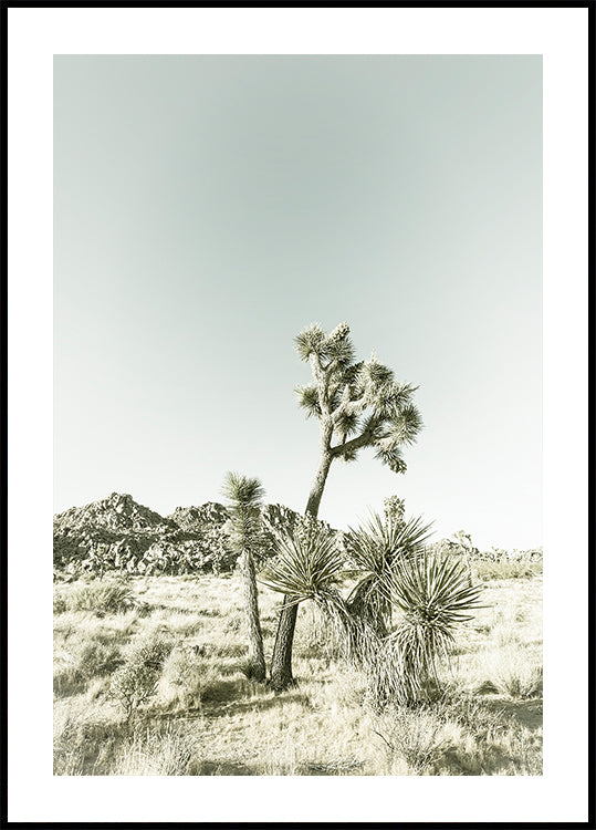 Joshua Tree National Park Vintage Impression Plakat