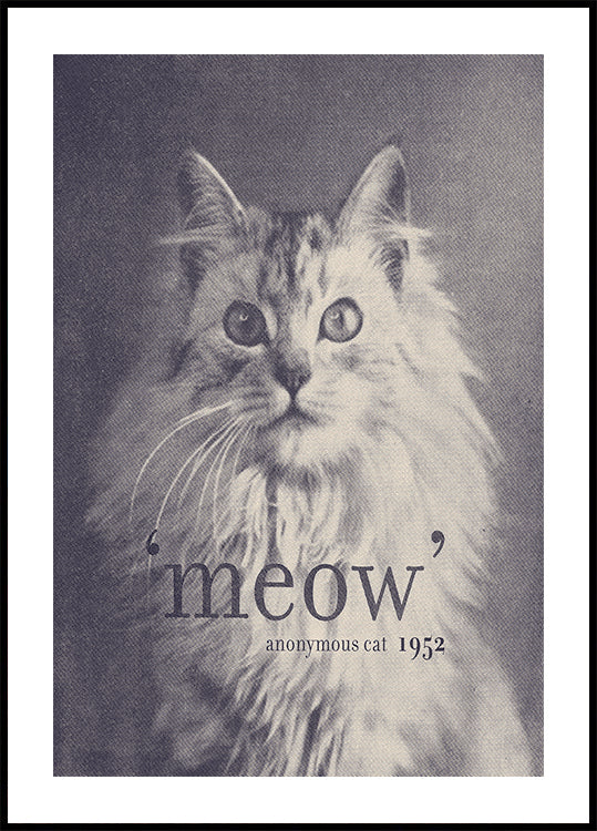 Famous Quote Cat Plakat