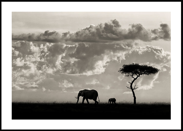 Silhouettes of Mara Plakat