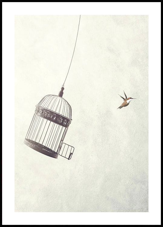Flying Towards Freedom Plakat