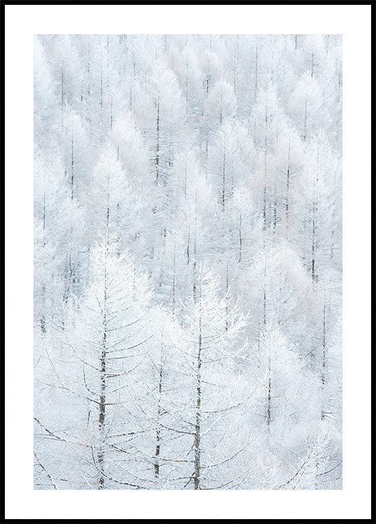 清浄（Seijyou) Plakat