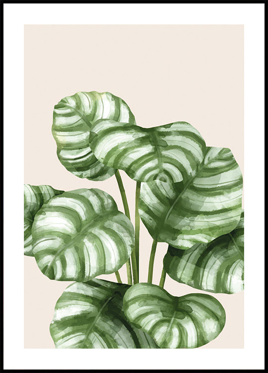 Striped Green Leaves Botanical Plakat