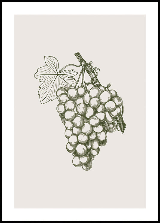 Grape Botanical Plakat