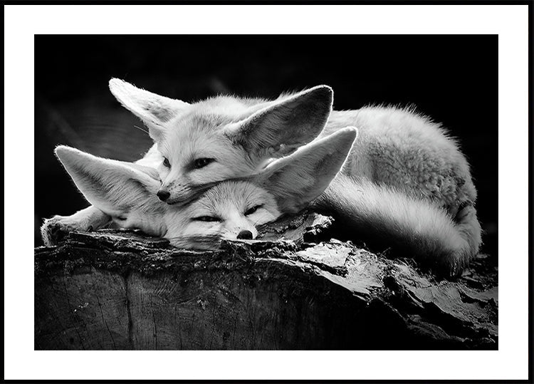 The happy couple Plakat