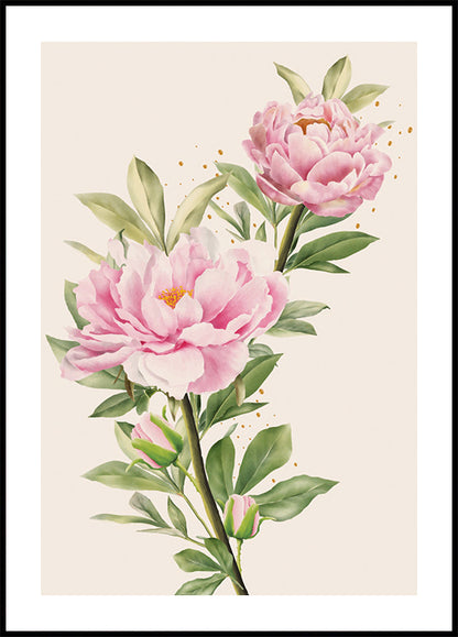 Blooming Peonies Plakat