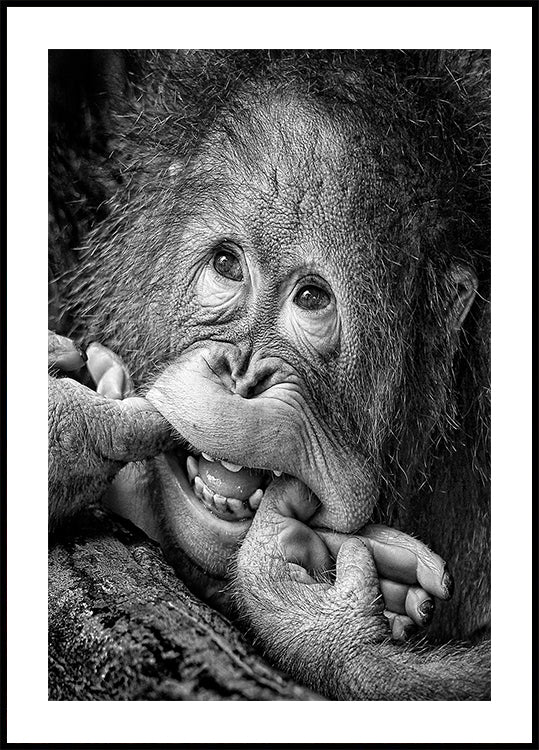 Big Smile.....please Plakat