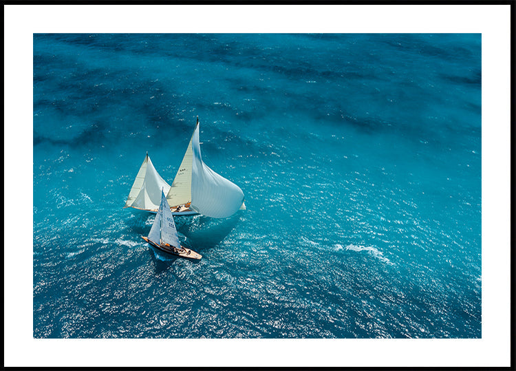 Croisement bleu Plakat