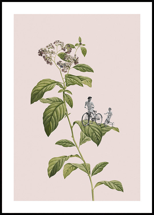 Botanical cycling Plakat