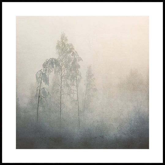 Whispers Through the Mist Plakat