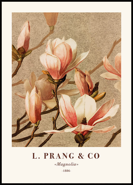 L. Prang & Co., Magnolia Plakat