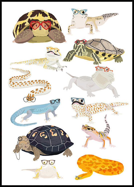 A1 Reptiles In Glasses Plakat
