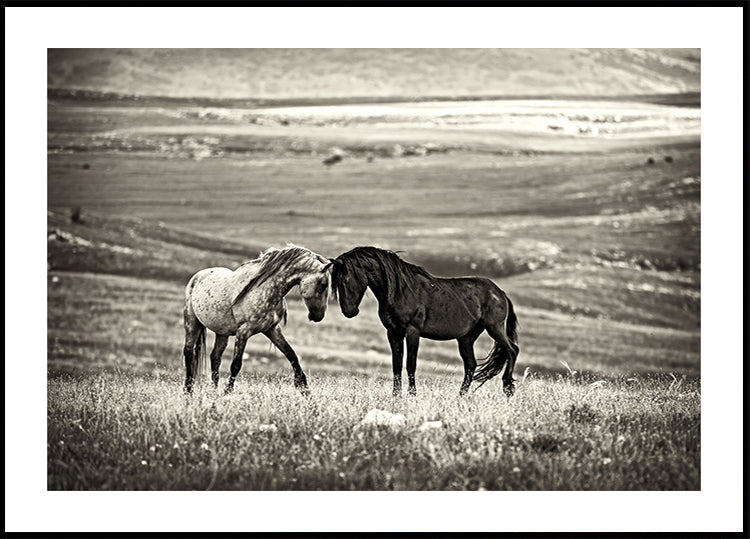 close encounter Plakat