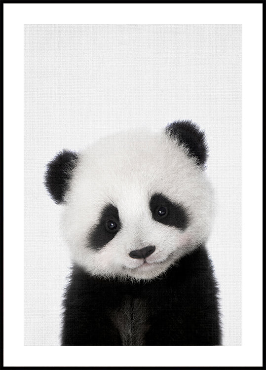 Peekaboo Baby Panda