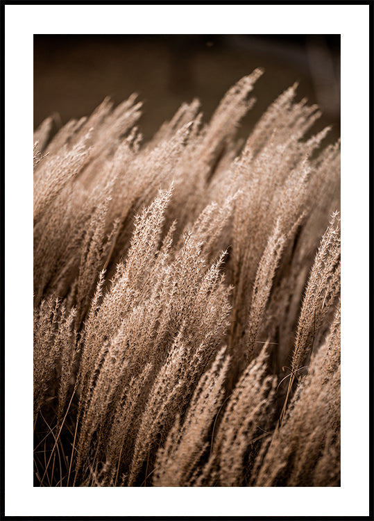 Grass 16 Plakat