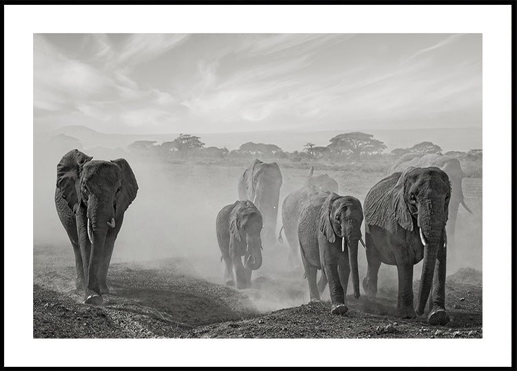 Sequence of emotion Plakat