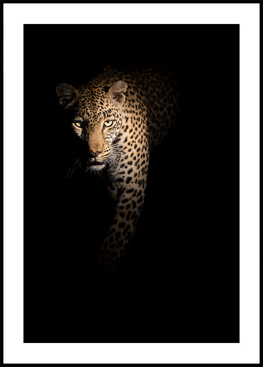 Out of the darkness
