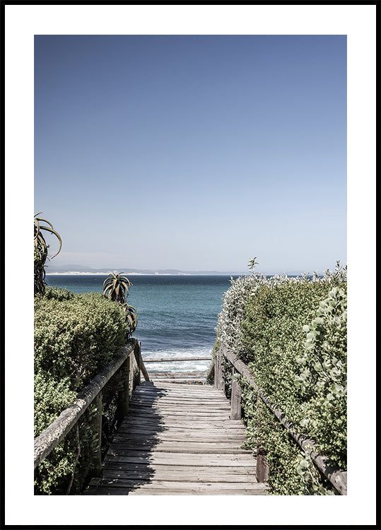 Seaside Tranquility