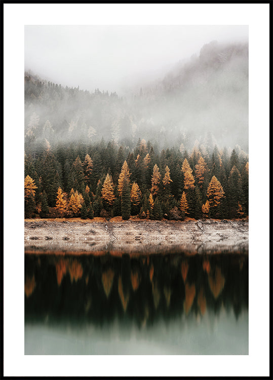 Autumn Reflections in Misty Forest Plakat