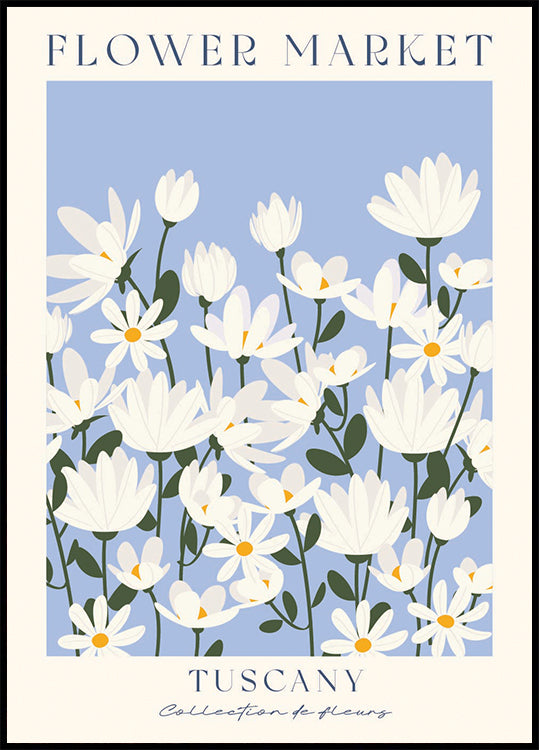 Flower Market, Tuscany daisy field Plakat