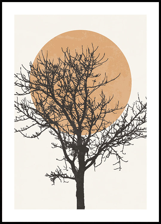 Tree Silhouette and Sun Plakat
