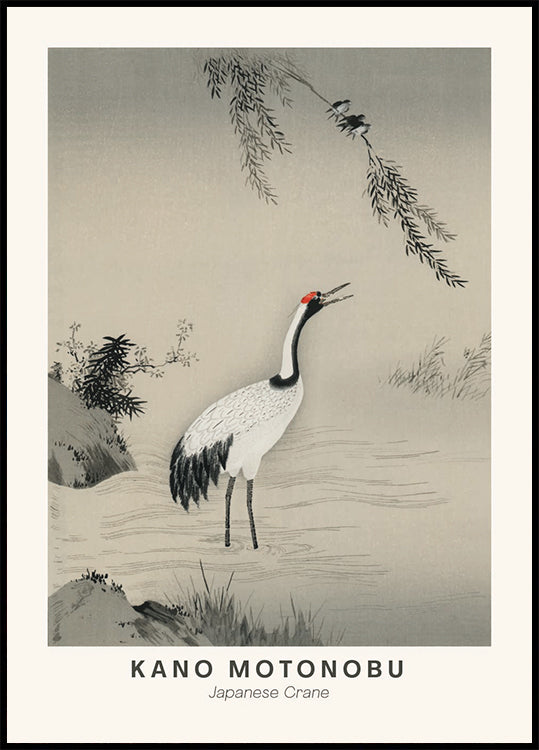 Japanese Crane Illustration Kano Motonobu Plakat