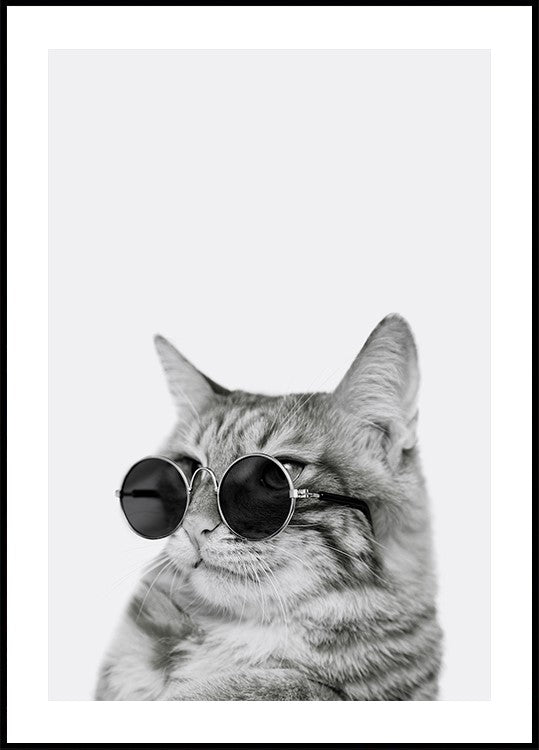 Cool Cat in Shades Plakat