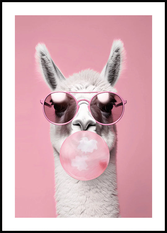 Llama With Bubble Gum Plakat