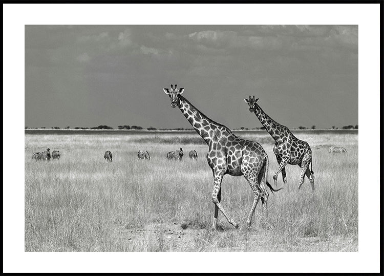 Tourists Spend Plakat