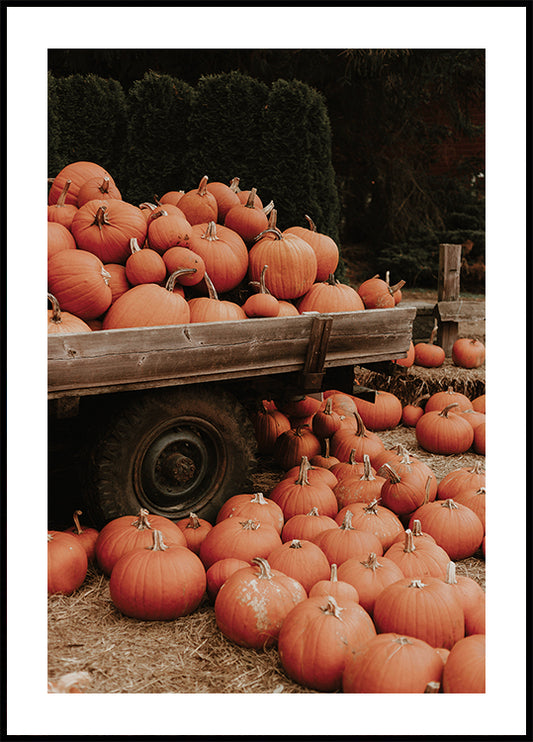 Autumn Harvest Delight Plakat