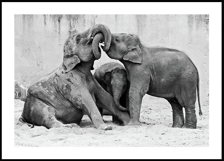 MÉNAGE À TROIS Plakat