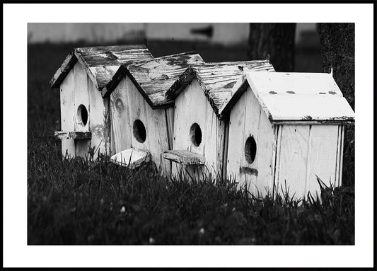 Birdhouses Plakat