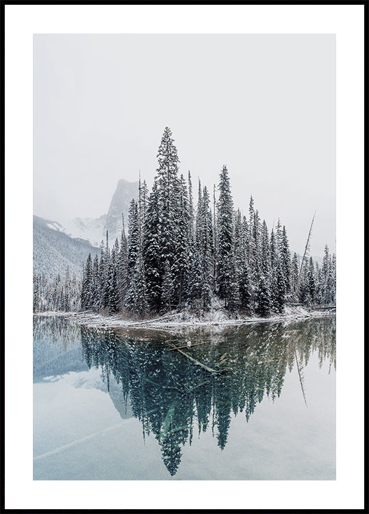 Snowy Trees Near Lake Plakat