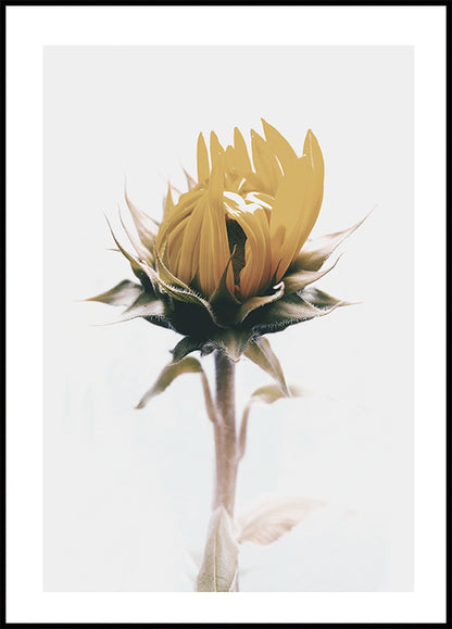 Yellow Sunflower Plakat