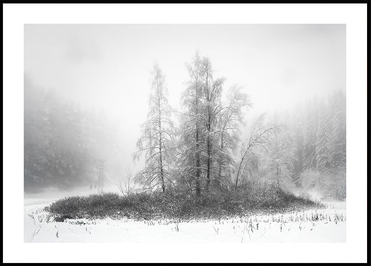 Winter in the mountain Plakat