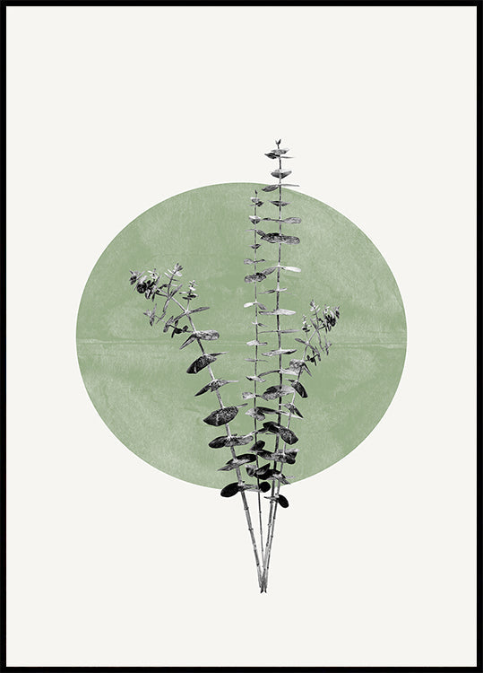 Nature's Echo Plakat