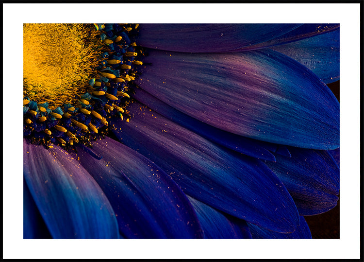 Blue Rays Plakat