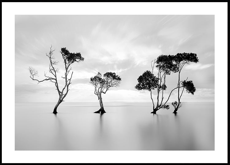 Drowning Not Waving Plakat