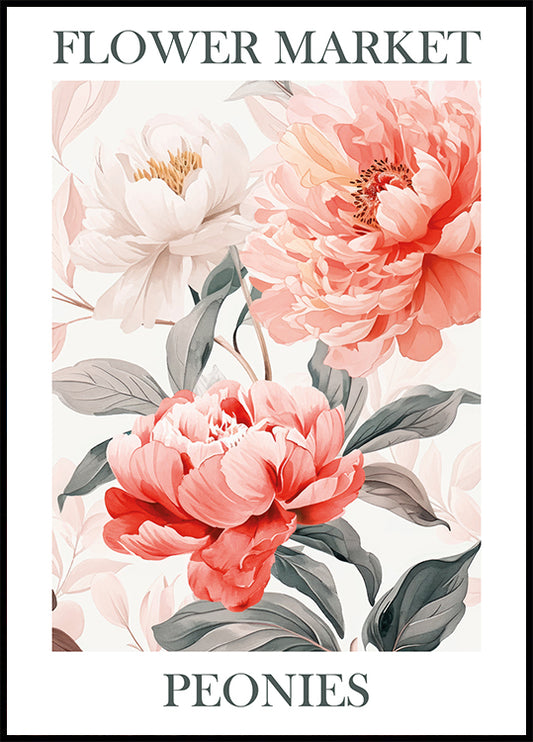 Peonies Pink Plakat