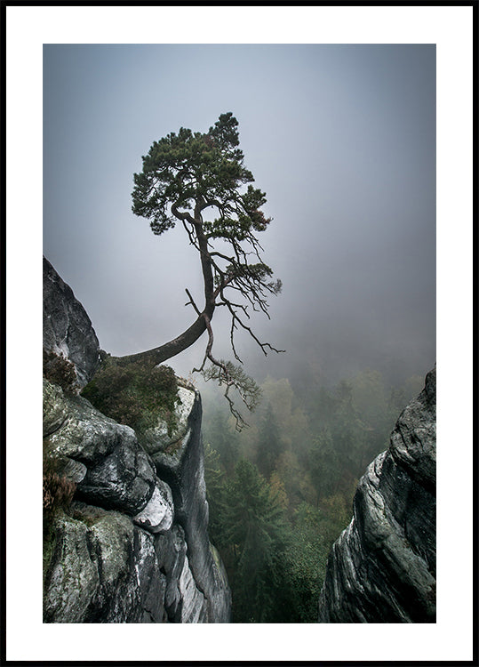 Against the Odds Plakat